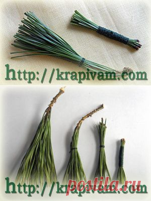 Зубная щетка из сосновых иголок | krapivam.com