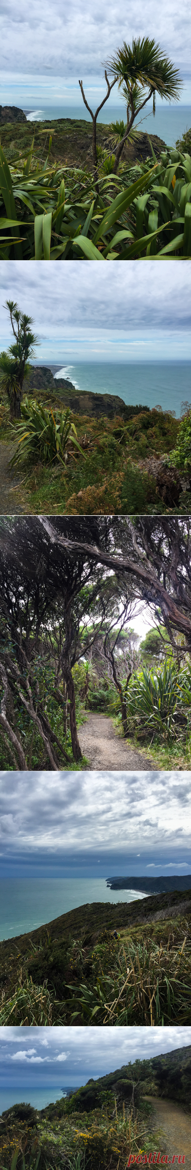 The best West Auckland walk?