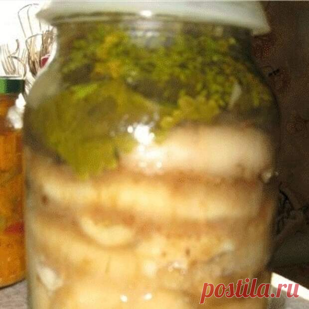 СОЛЕНЫЕ ГРУЗДИ ПО-СИБИРСКИ  - Скатерть-Самобранка - медиаплатформа МирТесен СОЛЕНЫЕ ГРУЗДИ ПО-СИБИРСКИ Грузди моем, заливаем водичкой на ночь, если времени нет, а если есть, то сразу ставим отвариваться в большом количестве воды. Варить 20-25 минут в очень соленом рассоле, пока грибы на дно опускаться не начнут. Затем вытаскиваем грибочки, промываем холодной водой и