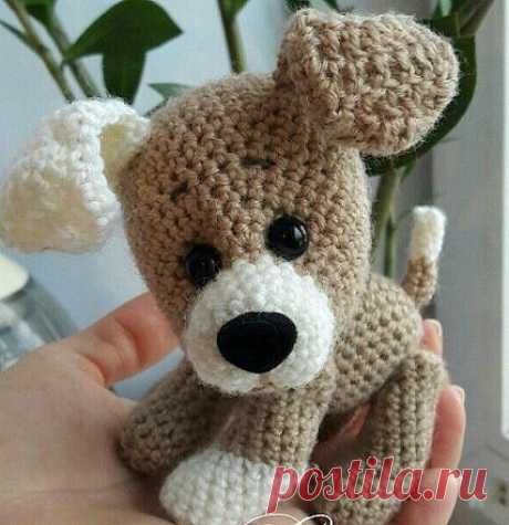(44) Одноклассники