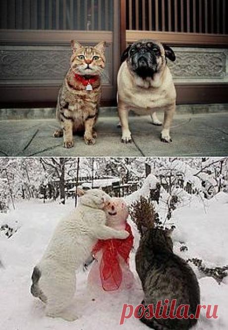 Фотографии Хроники