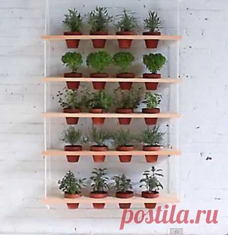 Устраиваем дома висячие сады своими руками,это совсем не сложно..