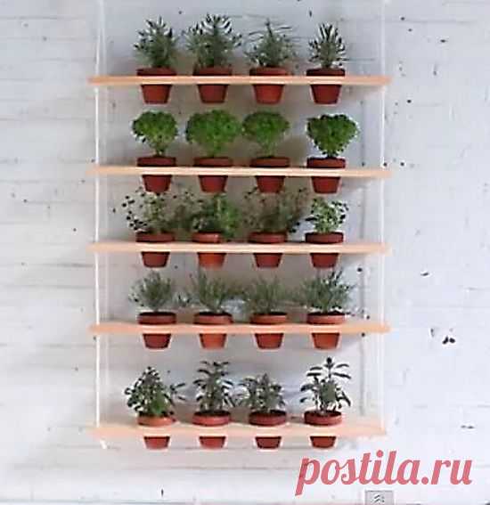 Устраиваем дома висячие сады своими руками,это совсем не сложно..
