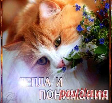 ЛИШНИЙ ГРУЗ. ТРИ ПРИТЧИ О ЖИЗНИ.