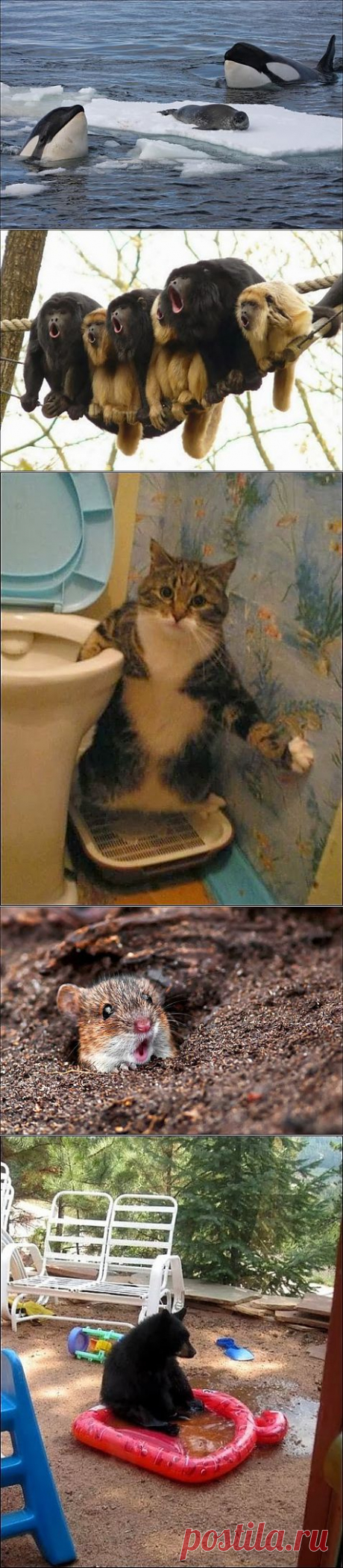 Юрий Фофанов – Google+