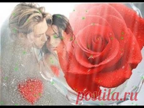 МОЯ ЛЮБОВЬ (NINO)