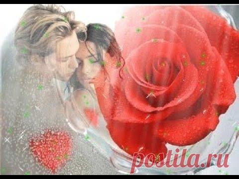 МОЯ ЛЮБОВЬ (NINO)