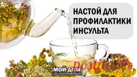 НАСТОЙ ДЛЯ ПРОФИЛАКТИКИ ИНСУЛЬТА