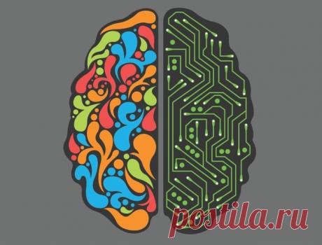 Тест: Какое полушарие мозга у вас больше развито?. Ридус