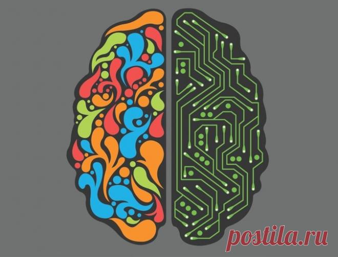 Тест: Какое полушарие мозга у вас больше развито?. Ридус