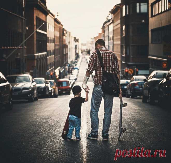 Один день из жизни планеты