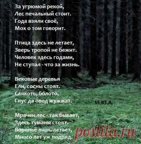 (38) Одноклассники
