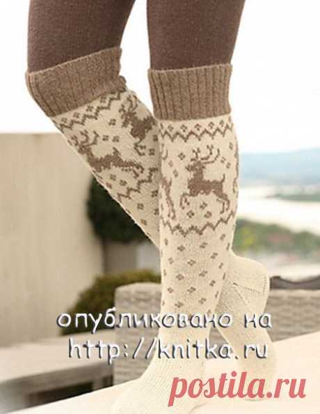 гетры с оленями