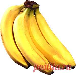 Дары природы для лечения различных заболеваний