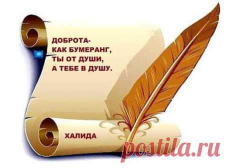 (79) Одноклассники
