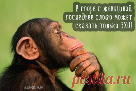 Смешные картинки