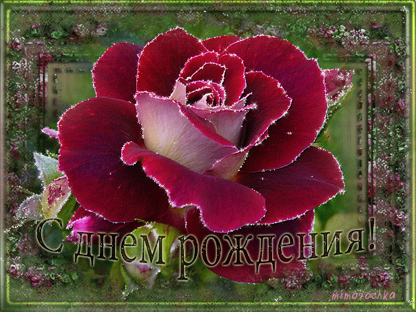 4 ноября Дмитриевская суббота - православные традиции родительской субботы