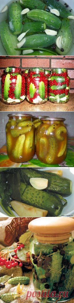 Заготовка огурцов на зиму - много рецептов.