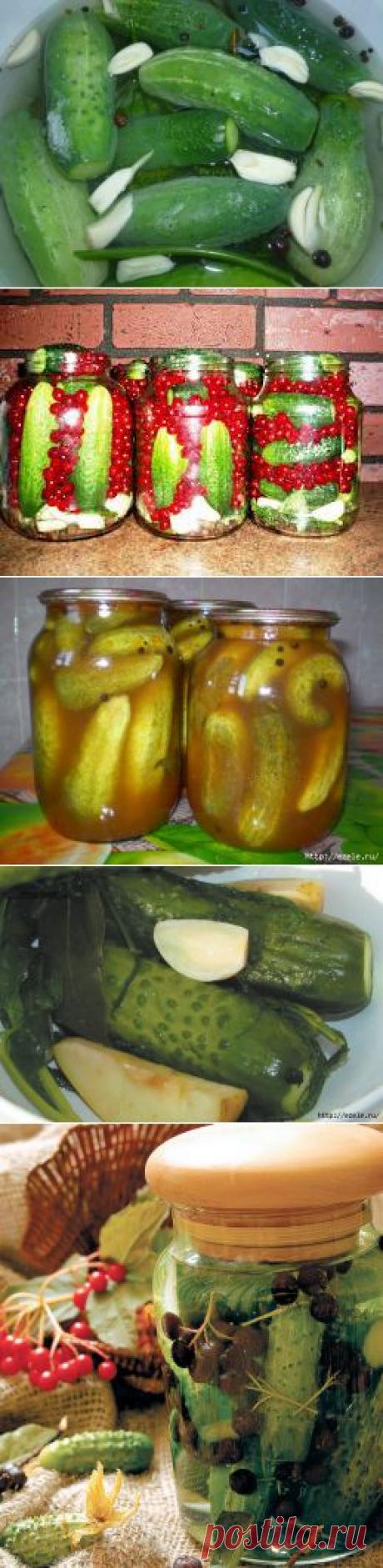 Заготовка огурцов на зиму - много рецептов.