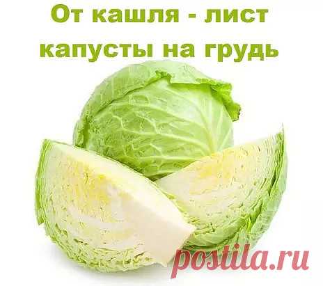 От кашля лист капусты...