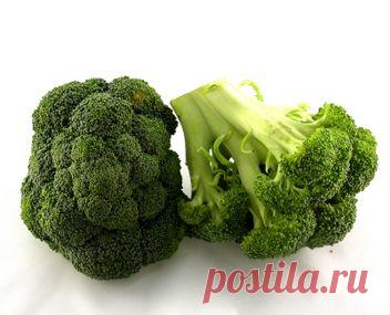 Как варить брокколи. Рецепт вареной капусты брокколи. Как варить брокколи по минутам. Приготовление брокколи. Как готовить брокколи.