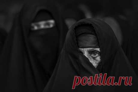 18 ч/б фото, каждая из которых заслуживает внимание и дарит эмоции | Российское фото | Яндекс Дзен