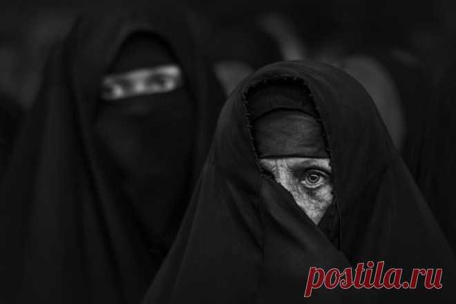 18 ч/б фото, каждая из которых заслуживает внимание и дарит эмоции | Российское фото | Яндекс Дзен