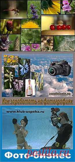 Как заработать на фотографиях и картинках | Все виды и способы заработка в интернете