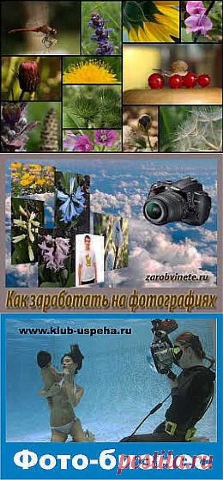 Как заработать на фотографиях и картинках | Все виды и способы заработка в интернете