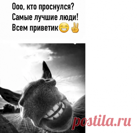 Выпуск №6904 - выпуск анекдотов сайта вокруг смеха