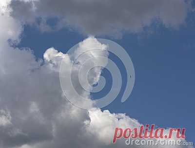 Stock Photos, Royalty-Free Images & Video Footage By Dreamstime Stock Photography