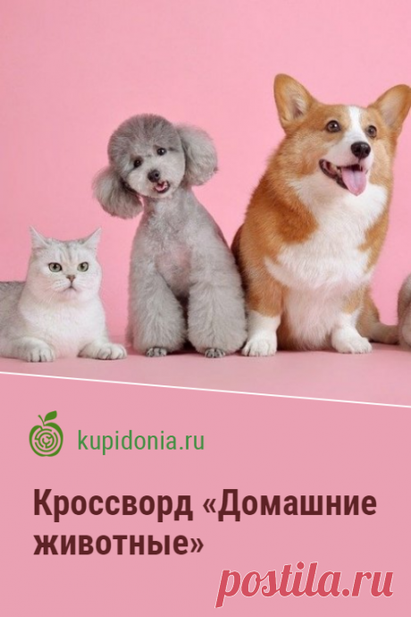 Кроссворд «Домашние животные». Интересный кроссворд о домашних животных. Разгадывай кроссворды онлайн на сайте!