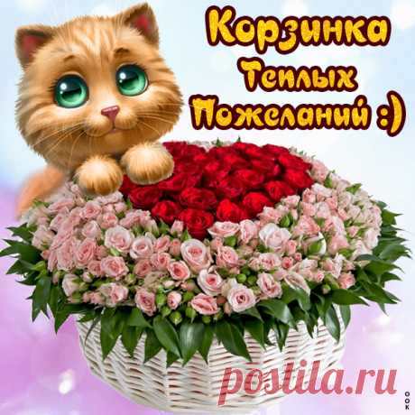 Картинка с пожеланиями с котиками