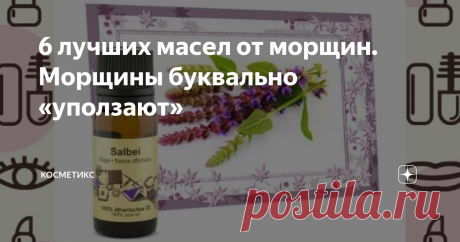 6 лучших масел от морщин. Морщины буквально «уползают» В последнее время в косметологии очень стали популярны масла. Они продаются в каждой аптеке и творят с нашей кожей чудеса.
Сегодня хочу поделиться с Вами со своими «любимцами», чтобы сделать менее заметными морщины и и предотвратить их появление в дальнейшем.
Масло шалфея мускатного
Picture №1