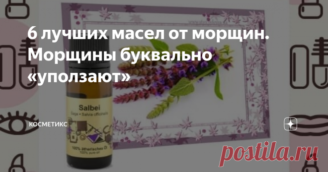 6 лучших масел от морщин. Морщины буквально «уползают» В последнее время в косметологии очень стали популярны масла. Они продаются в каждой аптеке и творят с нашей кожей чудеса.
Сегодня хочу поделиться с Вами со своими «любимцами», чтобы сделать менее заметными морщины и и предотвратить их появление в дальнейшем.
Масло шалфея мускатного
Picture №1