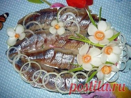 Вкусная и быстрая селедка в маринаде 

Предлагаю вам приготовить вкуснейшую селедку по моему рецепту. Уже через сутки она будет такой аппетитной, что останется только отварить картошечки и наслаждаться. 
Вкусная и быстрая селедка в маринаде – ингредиенты 
- сельдь – 2 шт., 
- лук – 1-2 большого размера, 
- уксус яблочный – 5 ст.л., 
- соль – 2 ч.л., 
- сахар – 0,5 ч.л., 
- вода – 1 стакан, 
- перец горошком – 10 шт., 
- щепотка зерен кориандра. 
Вкусная и быстрая селедка в...