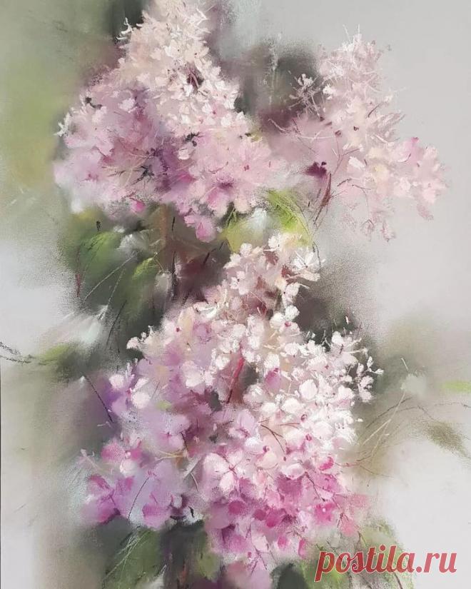 Изображение пина-истории