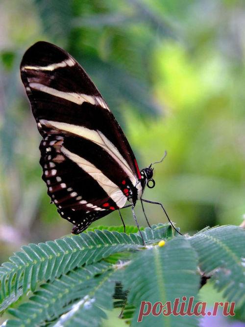 Random happiness ...