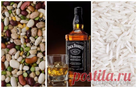 Продукты, которые можно хранить на кухне почти вечно, не переживая, что они испортятся