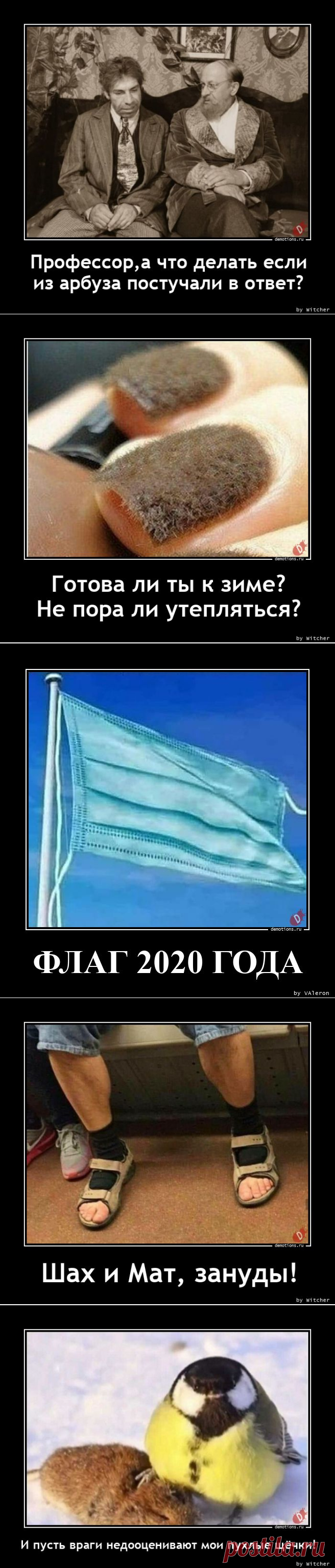 Демотиваторы-248