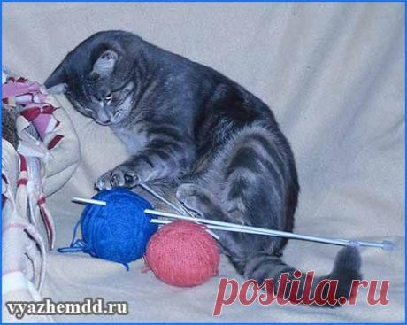 Рукодельный юмор и позитив | Милые мелочи