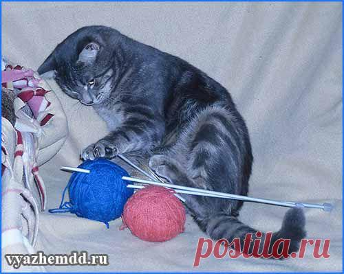 Рукодельный юмор и позитив | Милые мелочи