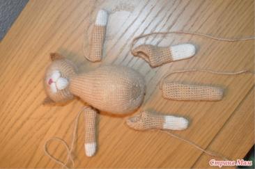 CAT OF SPOKES FROM MOCHER