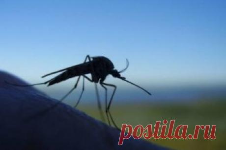 Средства от комаров