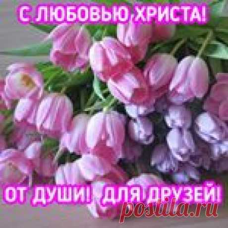 Palma Panova (@toma.palma2006) • Фото и видео в Instagram 14 подписчиков, 56 подписок, 0 публикаций — посмотрите в Instagram фото и видео Palma Panova (@toma.palma2006)
