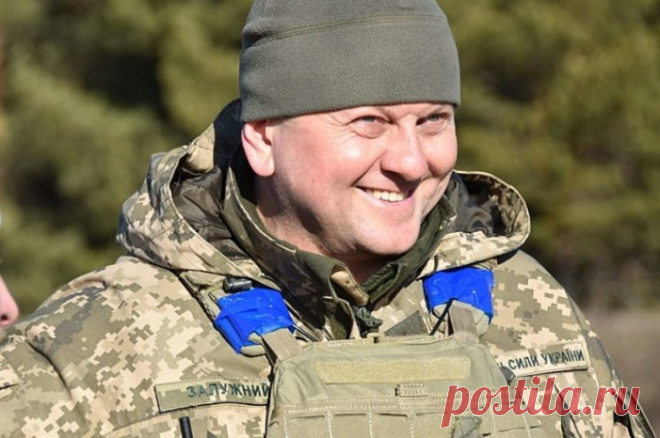 Залужный пишет диссертацию, тема которой засекречена. Главком ВСУ будет защищаться в Одесской юридической академии.