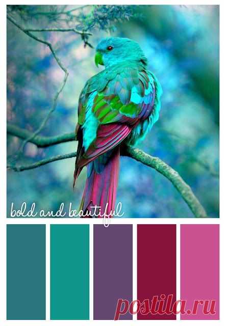 (4) Pinterest: scopri e salva idee creative