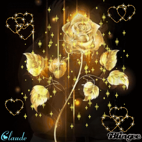 Nowa Kadra - Google+