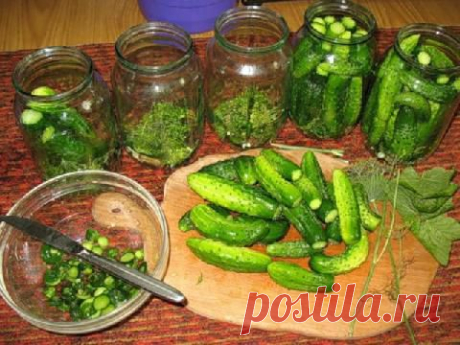 Маринованные огурцы :