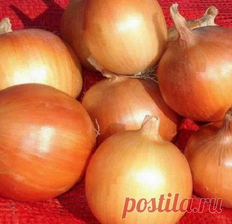 Простой способ понизить сахар в крови при диабете | Здоровье_23.0 | Яндекс Дзен